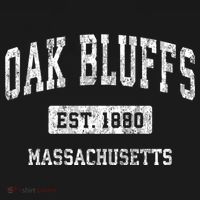 Oak Bluffs Massachusetts Ma Vintage Sports Established T-Shirt thumb 7