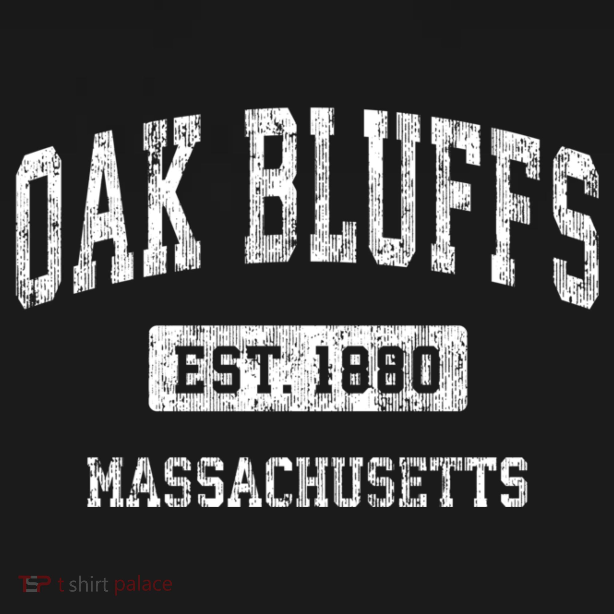 Oak Bluffs Massachusetts Ma Vintage Sports Established T-Shirt