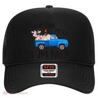 Oink Baa Moo I Am Two Farm Animals Blue Truck Birthday Boy Hat thumb 0