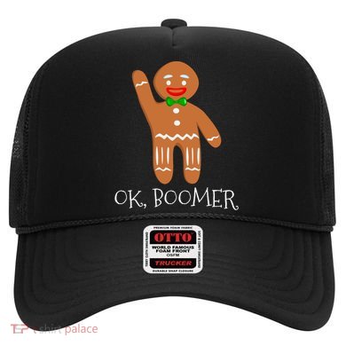Ok Boomer Meme Millennials Gen Z Funny Xmas Gingerbread Gift Hat