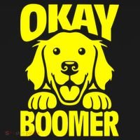 Ok Boomer Sweatshirt thumb 3