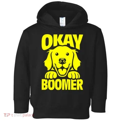 Ok Boomer Toddler Hoodie