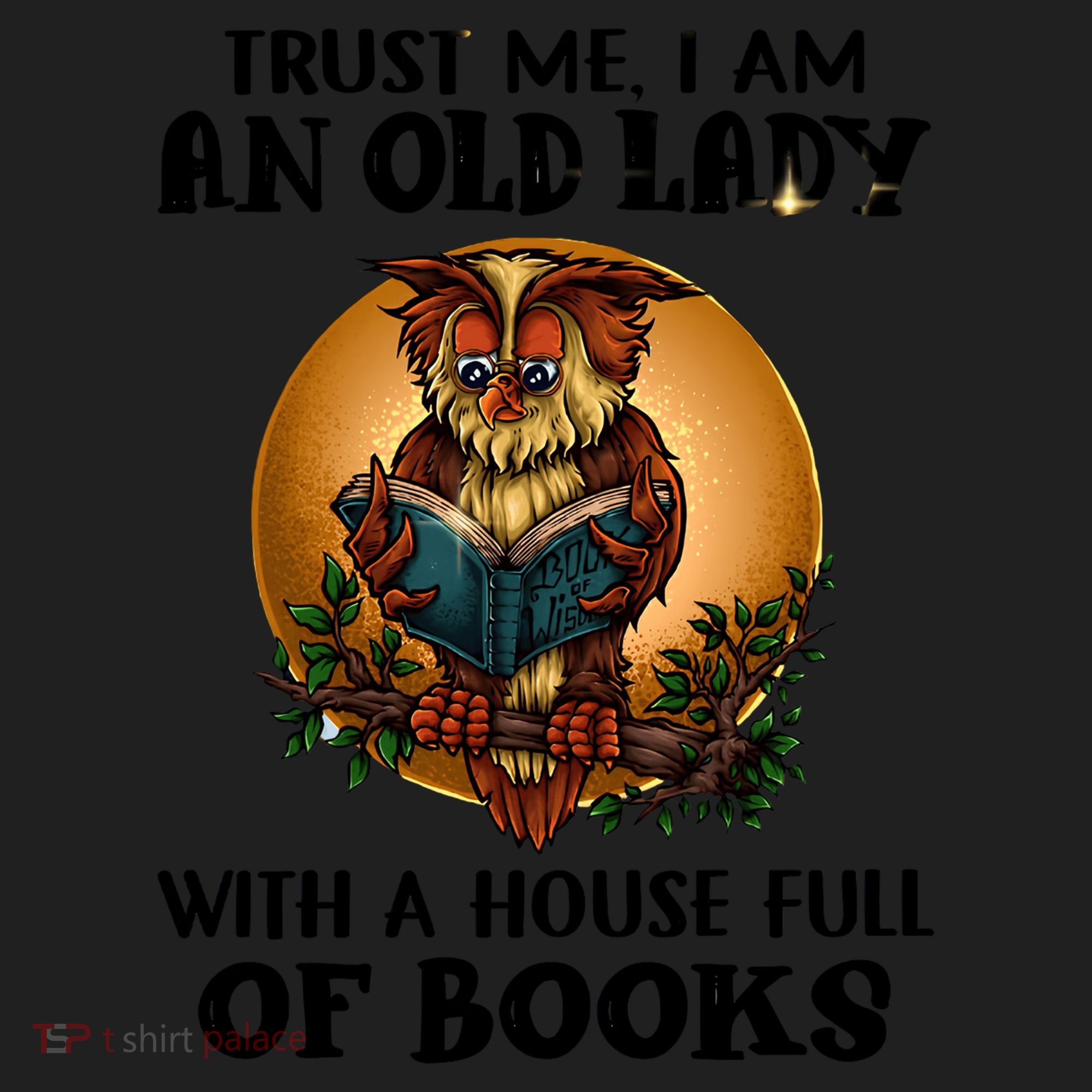 Owl Bookworm Women's Sweatshirt