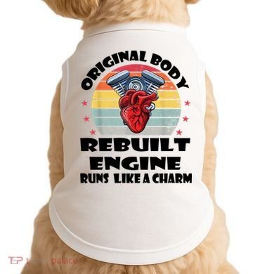 Original Body Rebuilt Engine Runs Like A Charm Car Engine Heart Doggie Tank