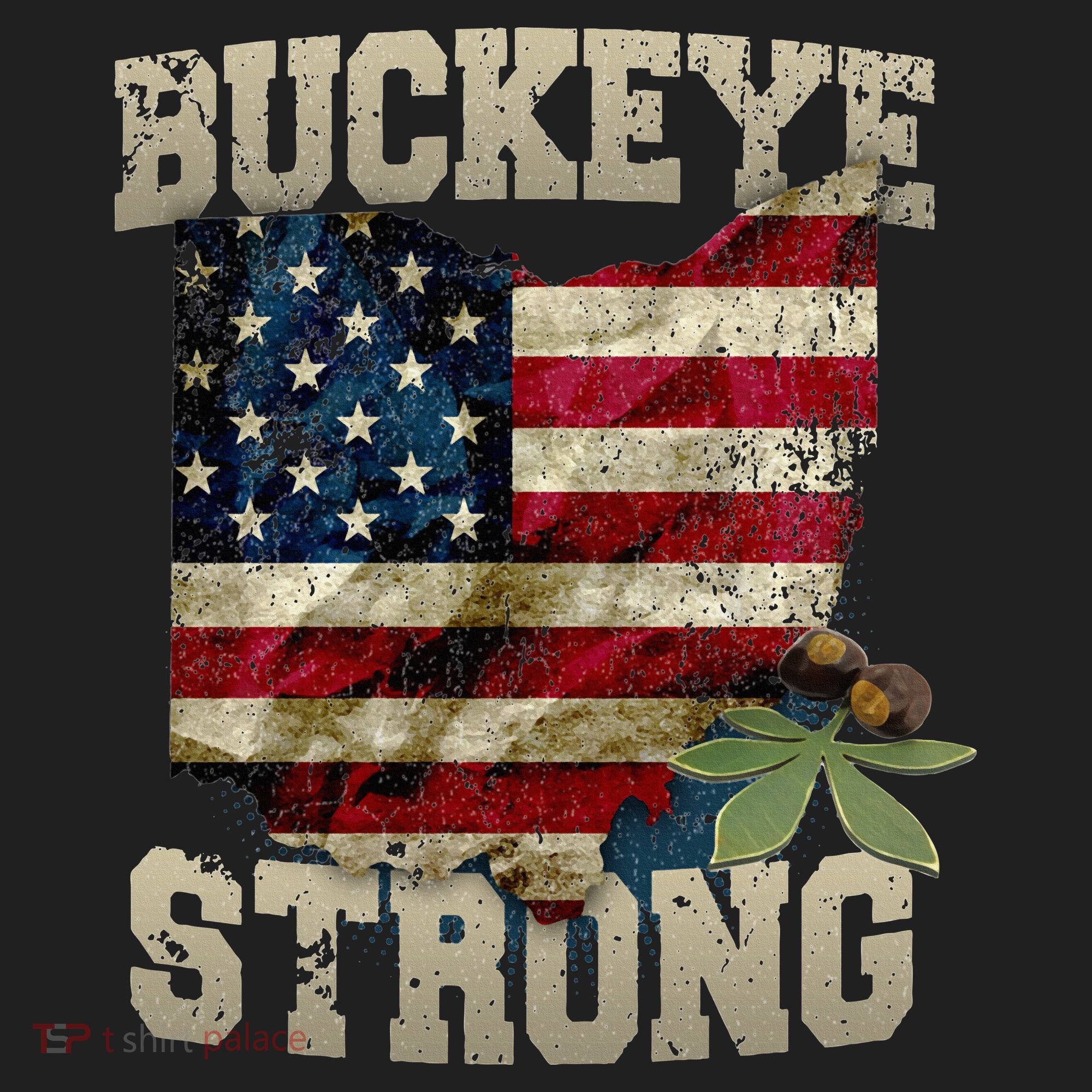Ohio Buckeye Strong Ohio USA Flag Overlay Beanie
