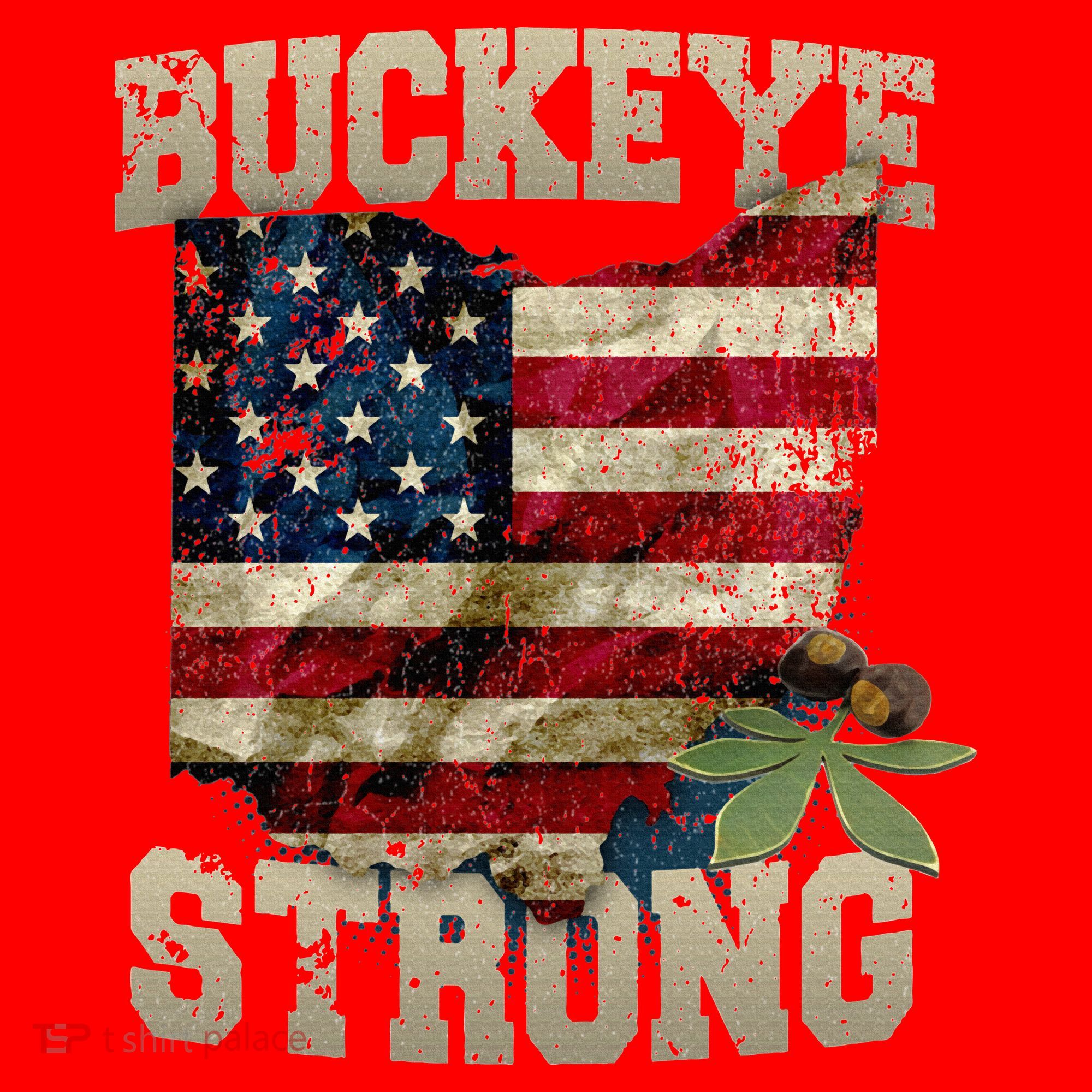 Ohio Buckeye Strong Ohio USA Flag Overlay Santa Hat