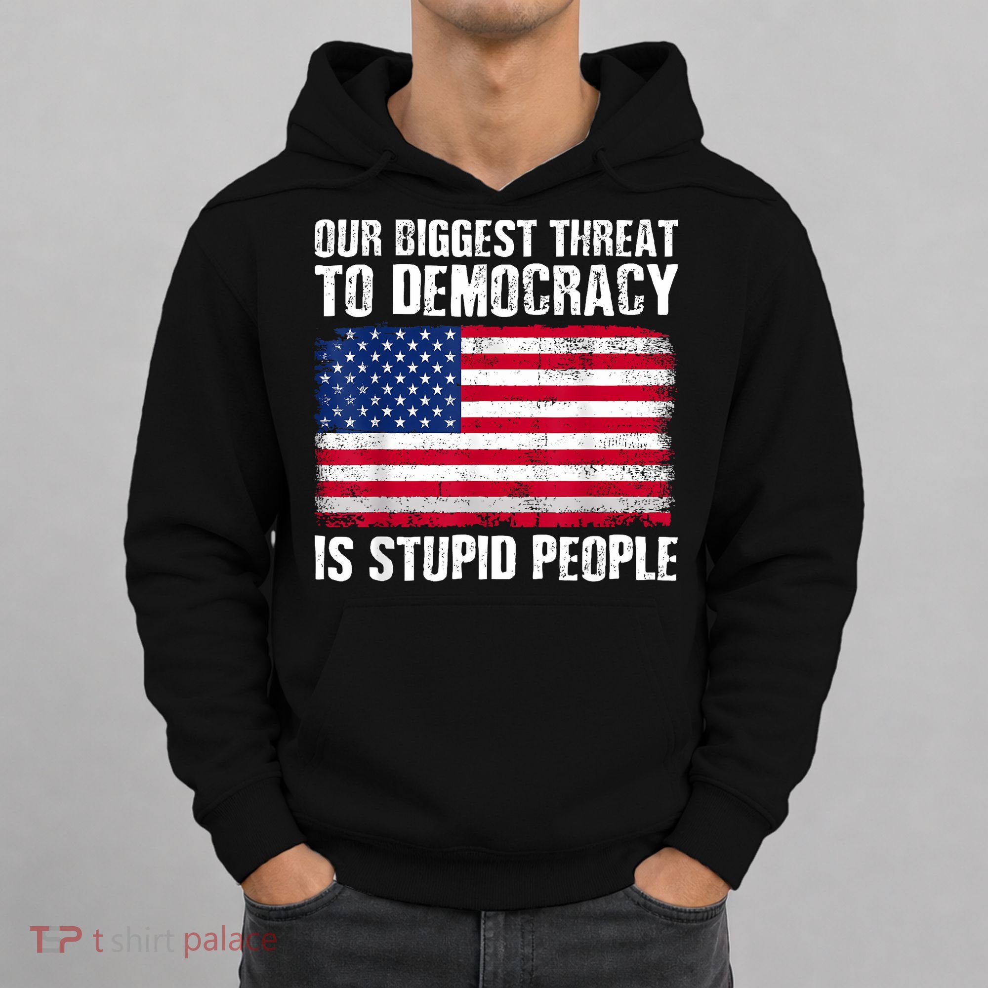Our Biggest Threat To Democracy Is Stupid People Election Hoodie