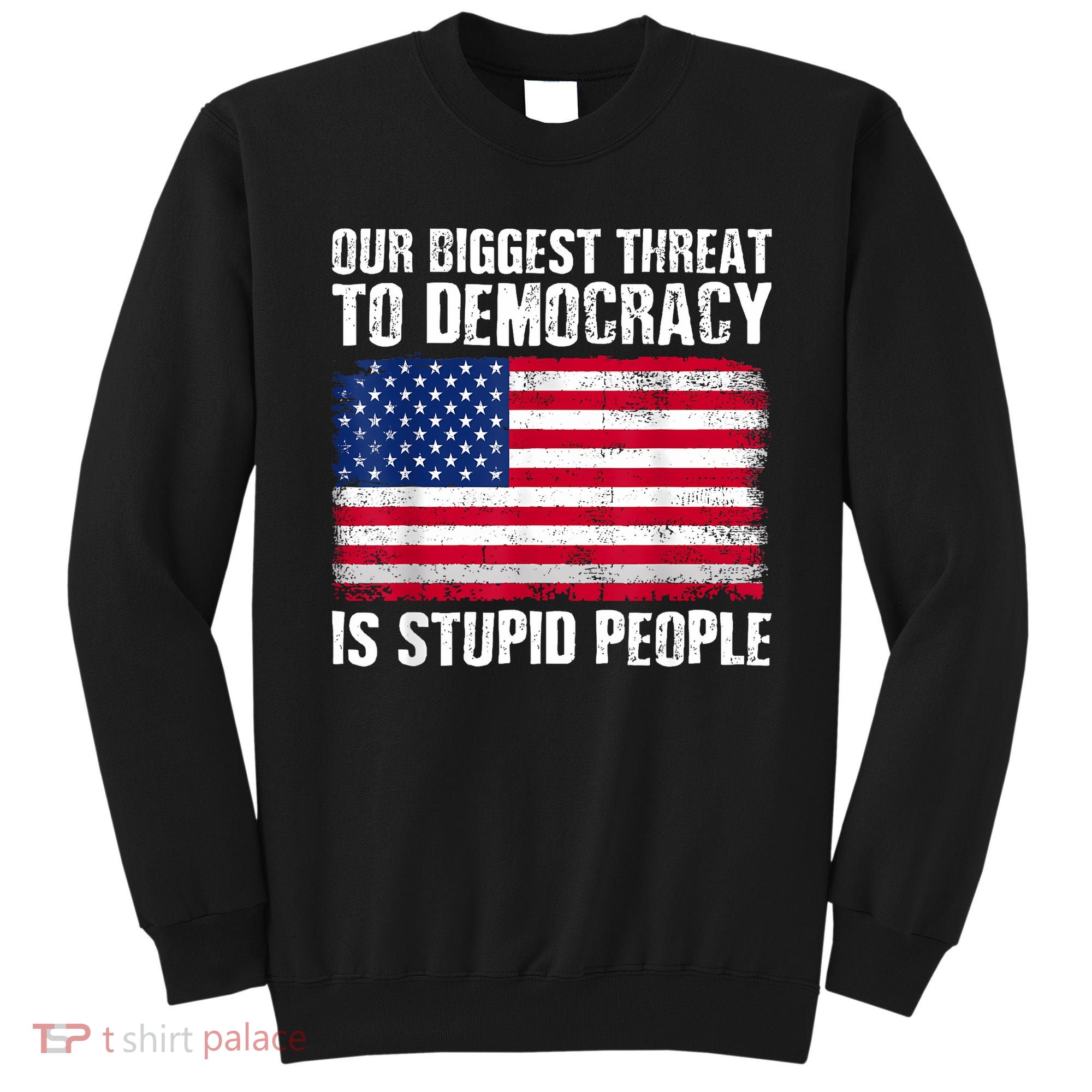 Our Biggest Threat To Democracy Is Stupid People Election Sweatshirt