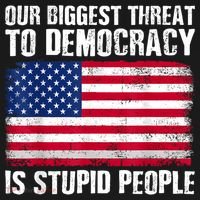 Our Biggest Threat To Democracy Is Stupid People Election Sweatshirt thumb 3