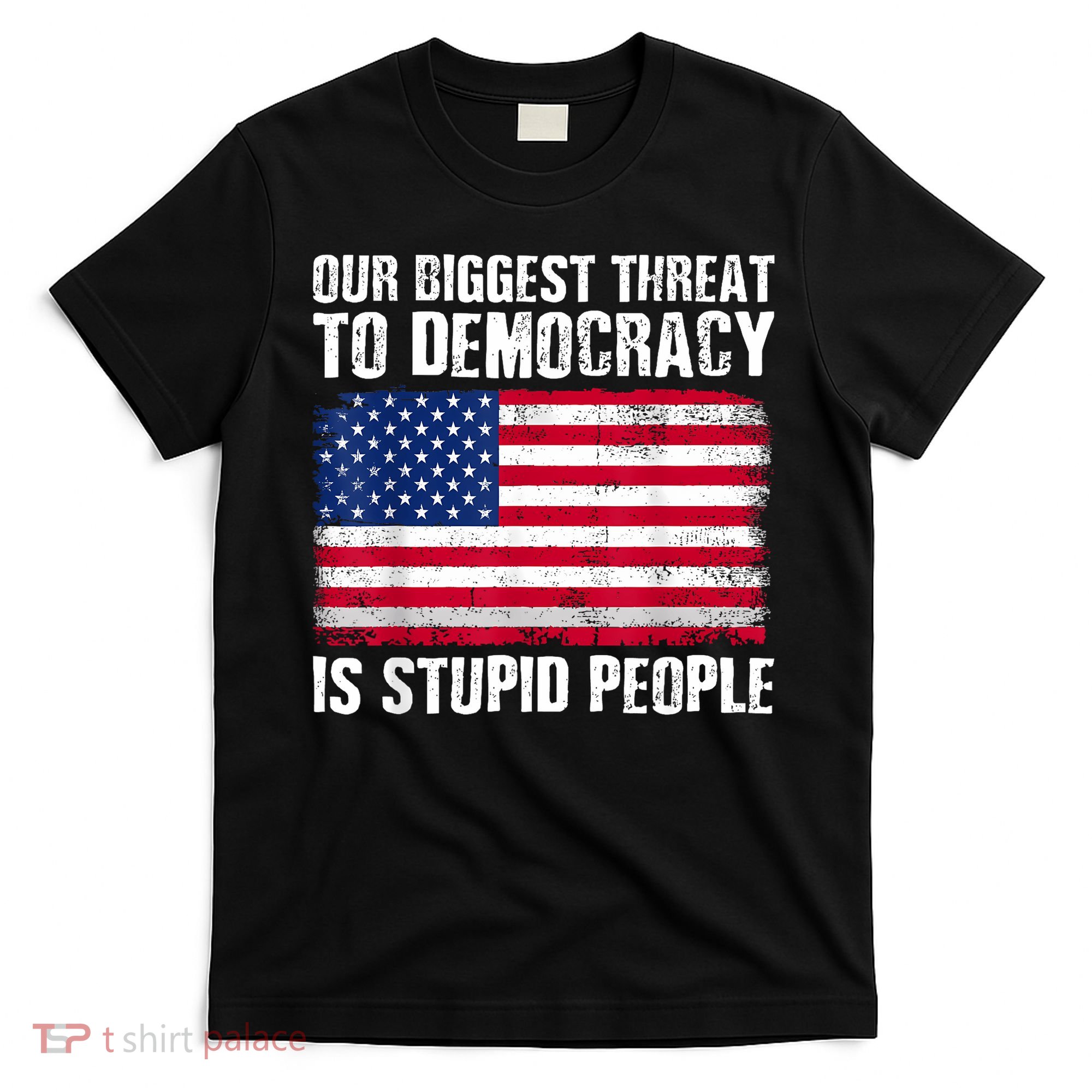 Our Biggest Threat To Democracy Is Stupid People Election T-Shirt