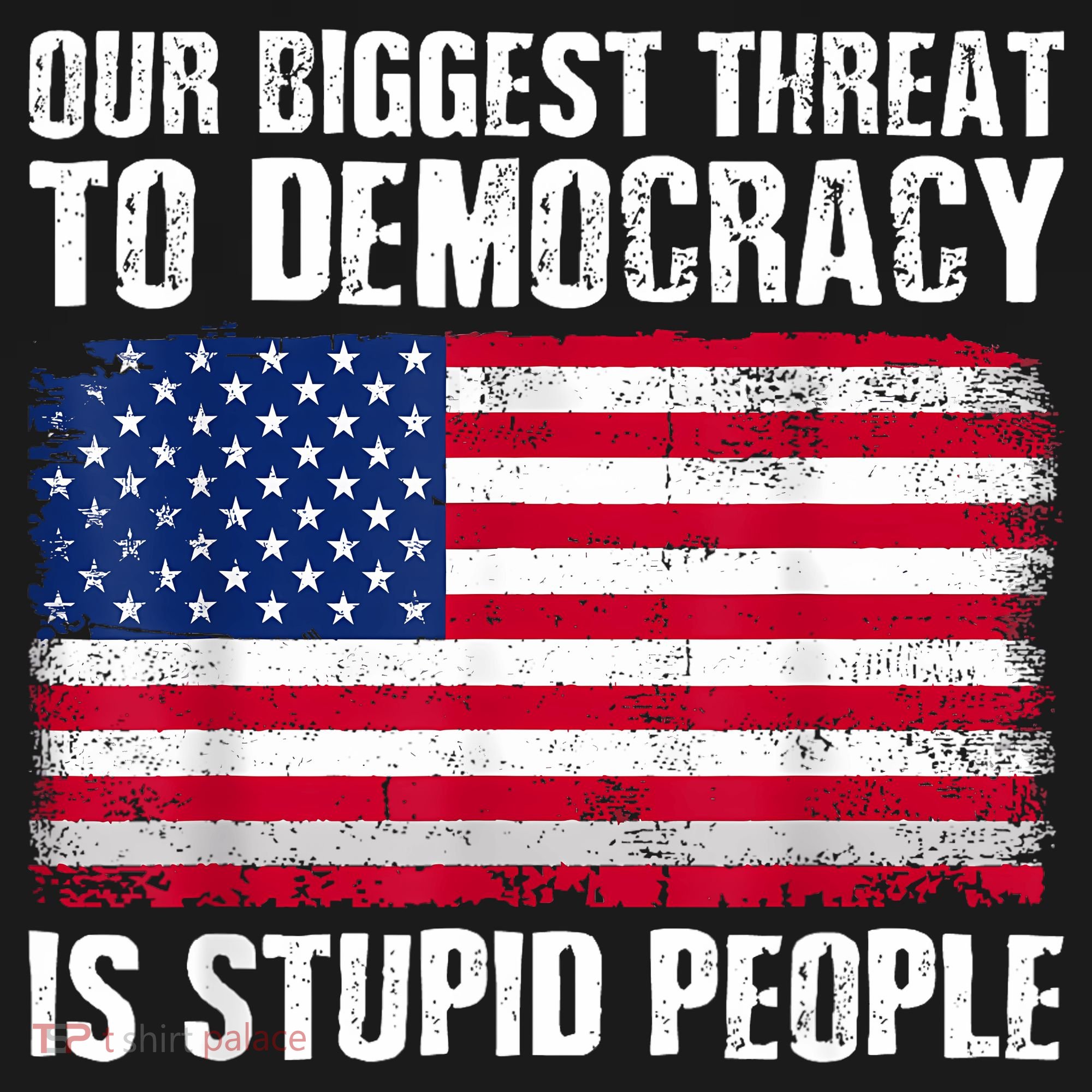 Our Biggest Threat To Democracy Is Stupid People Election Pajama Set