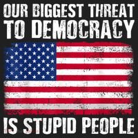 Our Biggest Threat To Democracy Is Stupid People Election Hat thumb 2