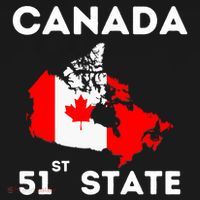 O Canada 51st State Funny Trump Canada Meme Kids Sweatshirt thumb 2