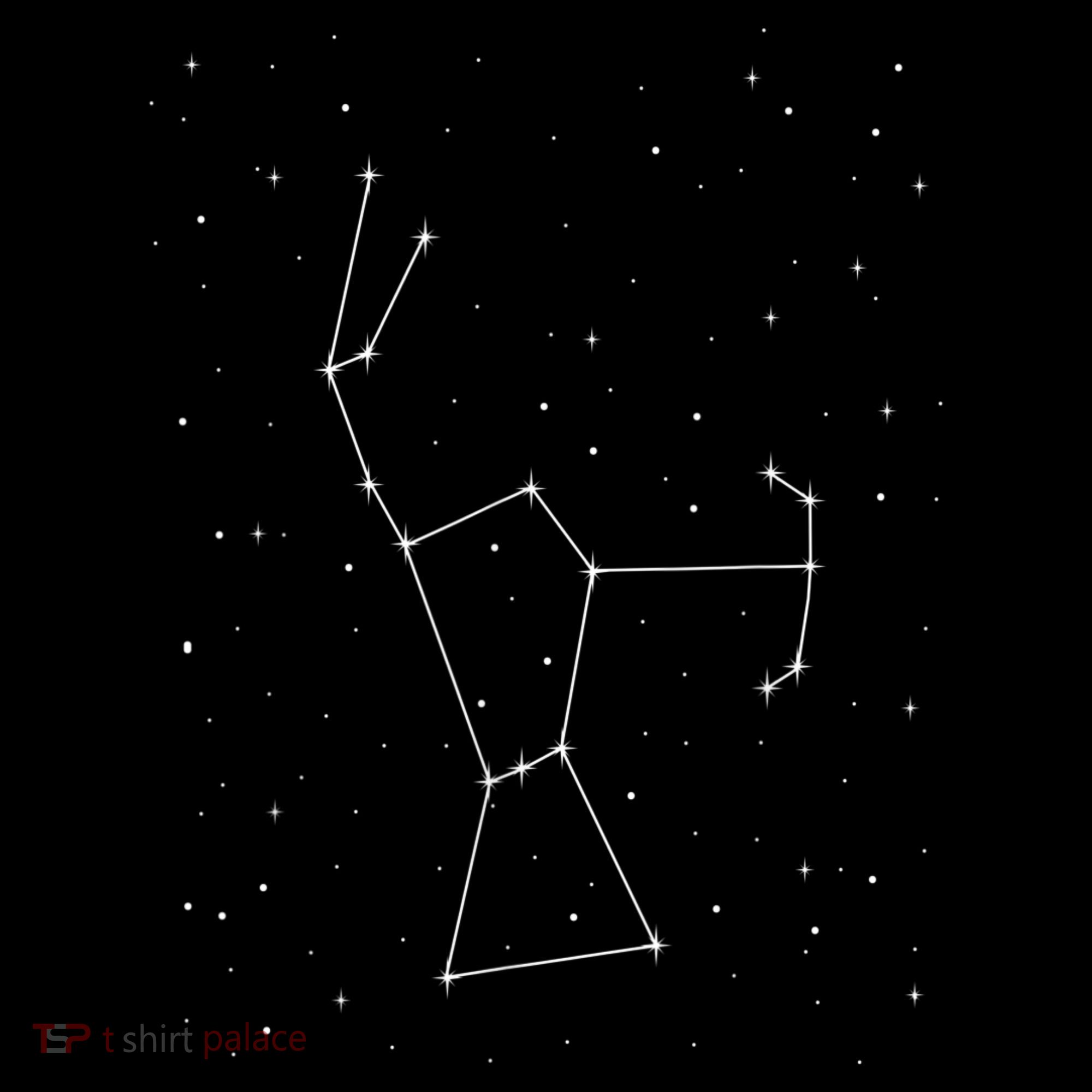 Orion Constellation Astronomy Star Picture Sweatshirt