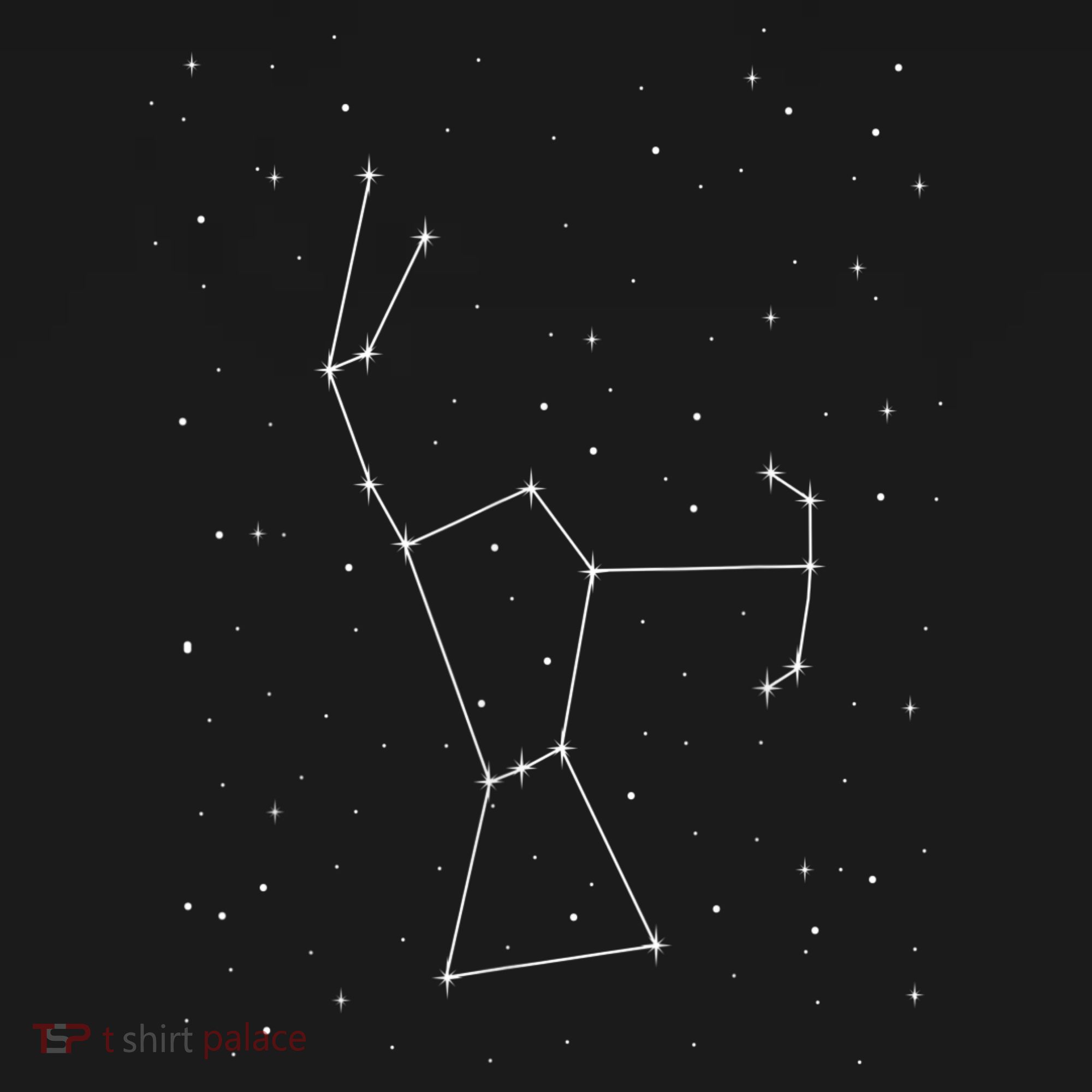 Orion Constellation Astronomy Star Picture Ornament