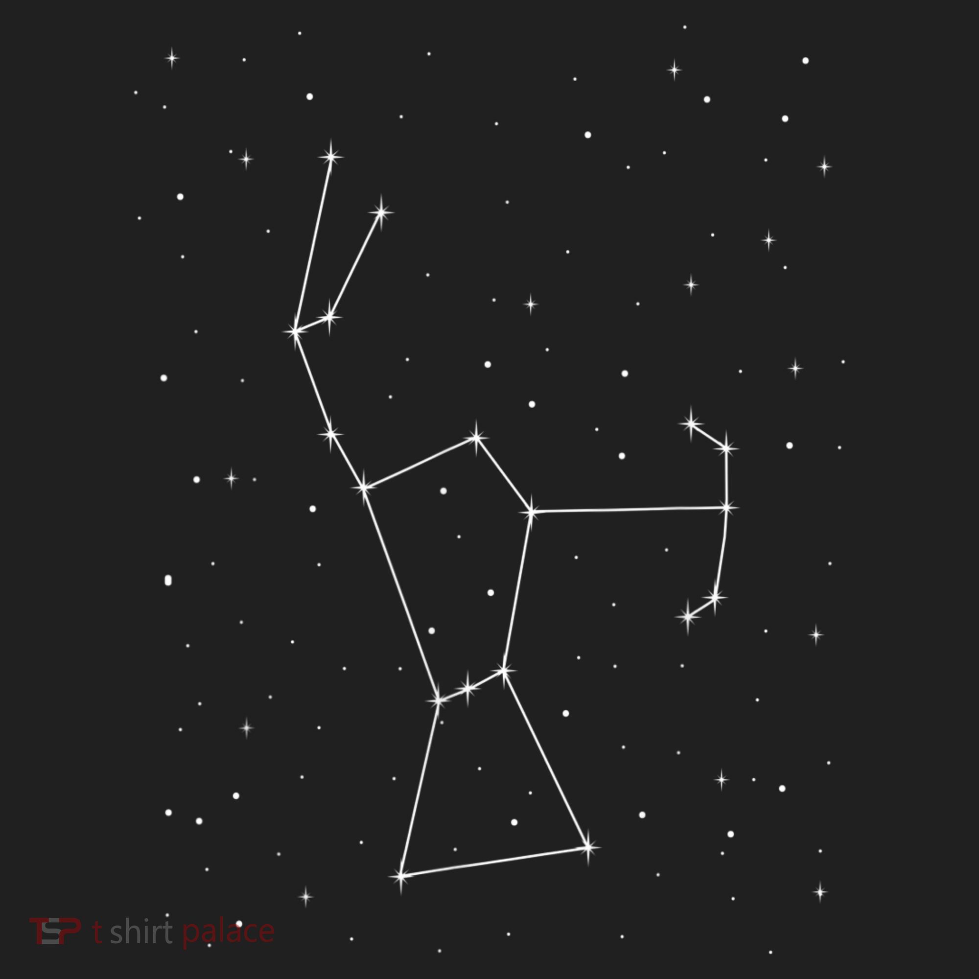 Orion Constellation Astronomy Star Picture Hat