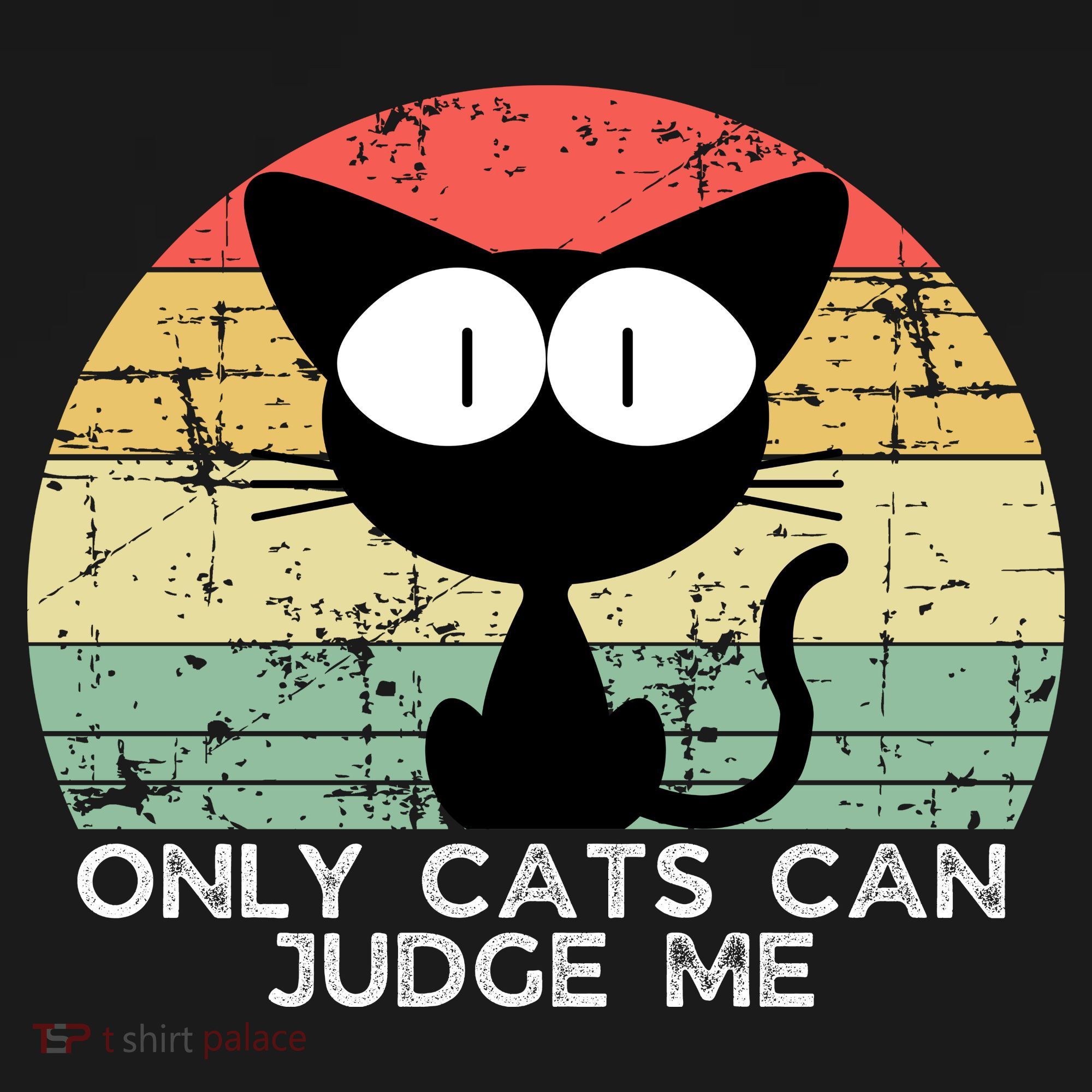 ONLY CATS CAN JUDGE ME FUNNY CAT LOVER Toddler Hoodie