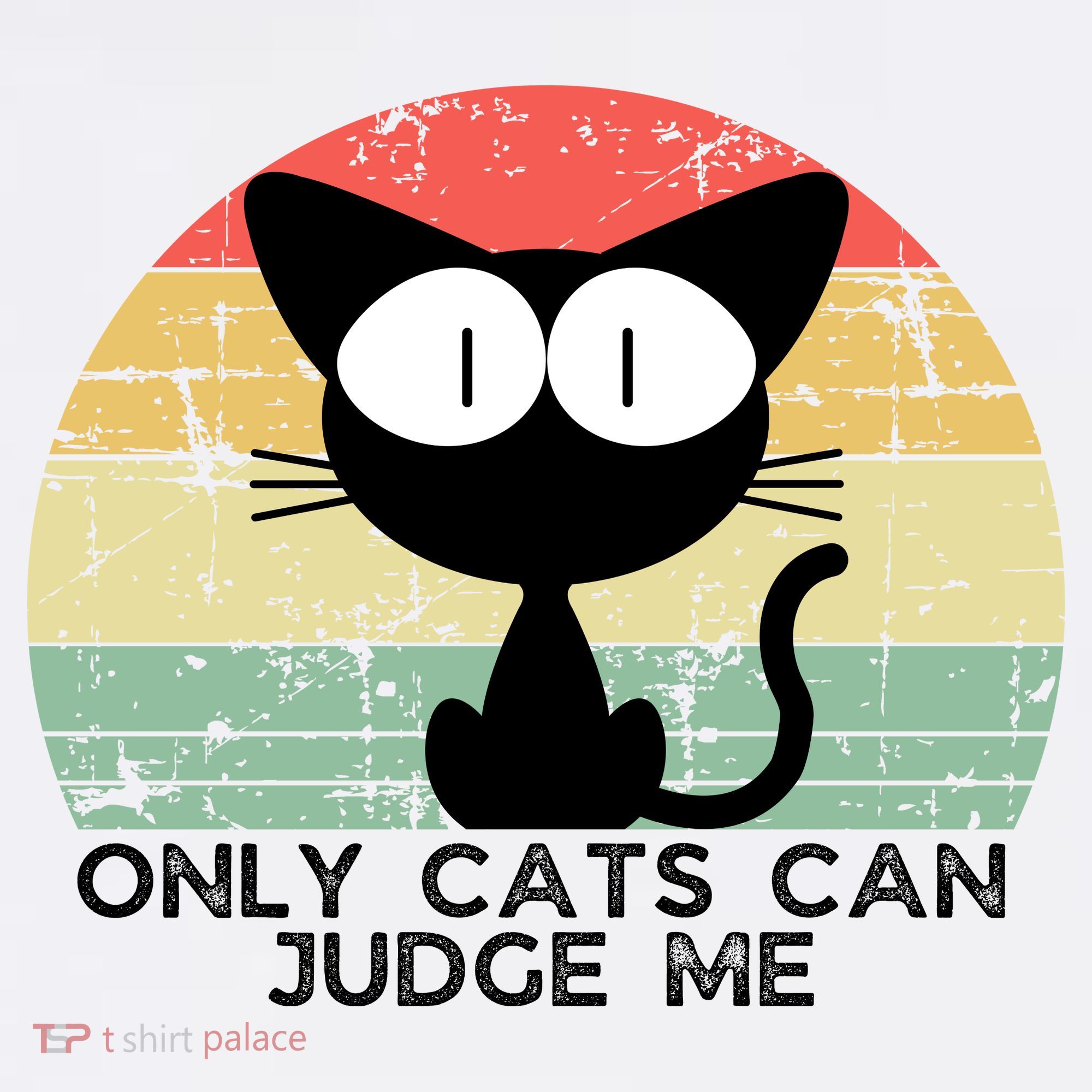 ONLY CATS CAN JUDGE ME FUNNY CAT LOVER Women's Hoodie