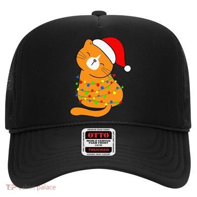 Orange Cat Christmas Tree Lights Santa Hat  Hat