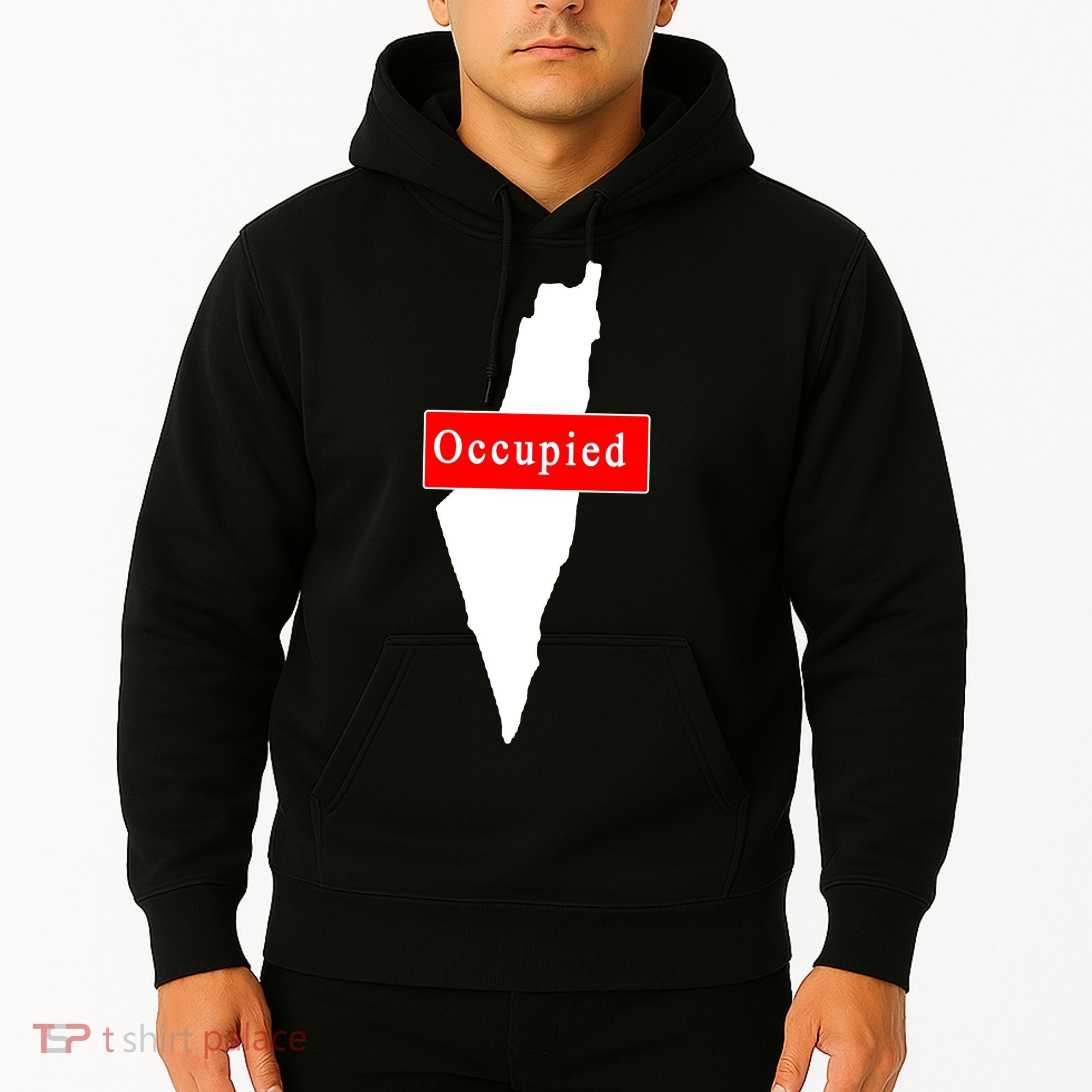 Occupied Palestine Free Gaza Anti Israel Hoodie