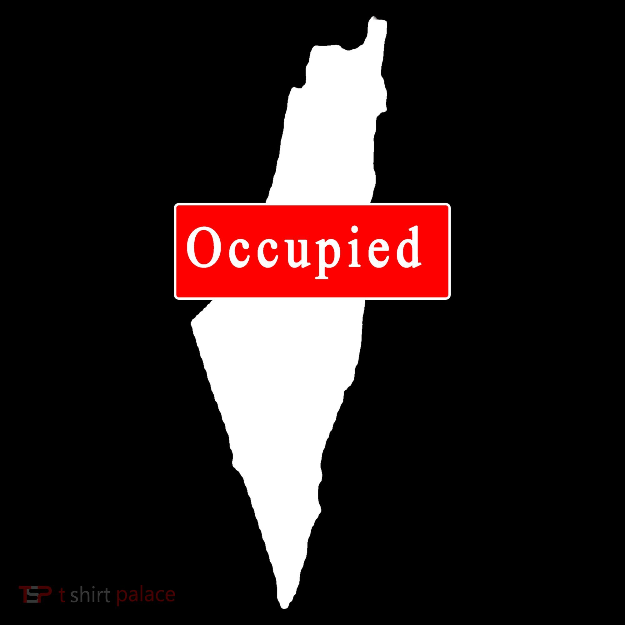 Occupied Palestine Free Gaza Anti Israel Women's Hoodie