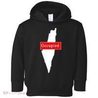 Occupied Palestine Free Gaza Anti Israel Toddler Hoodie thumb 0