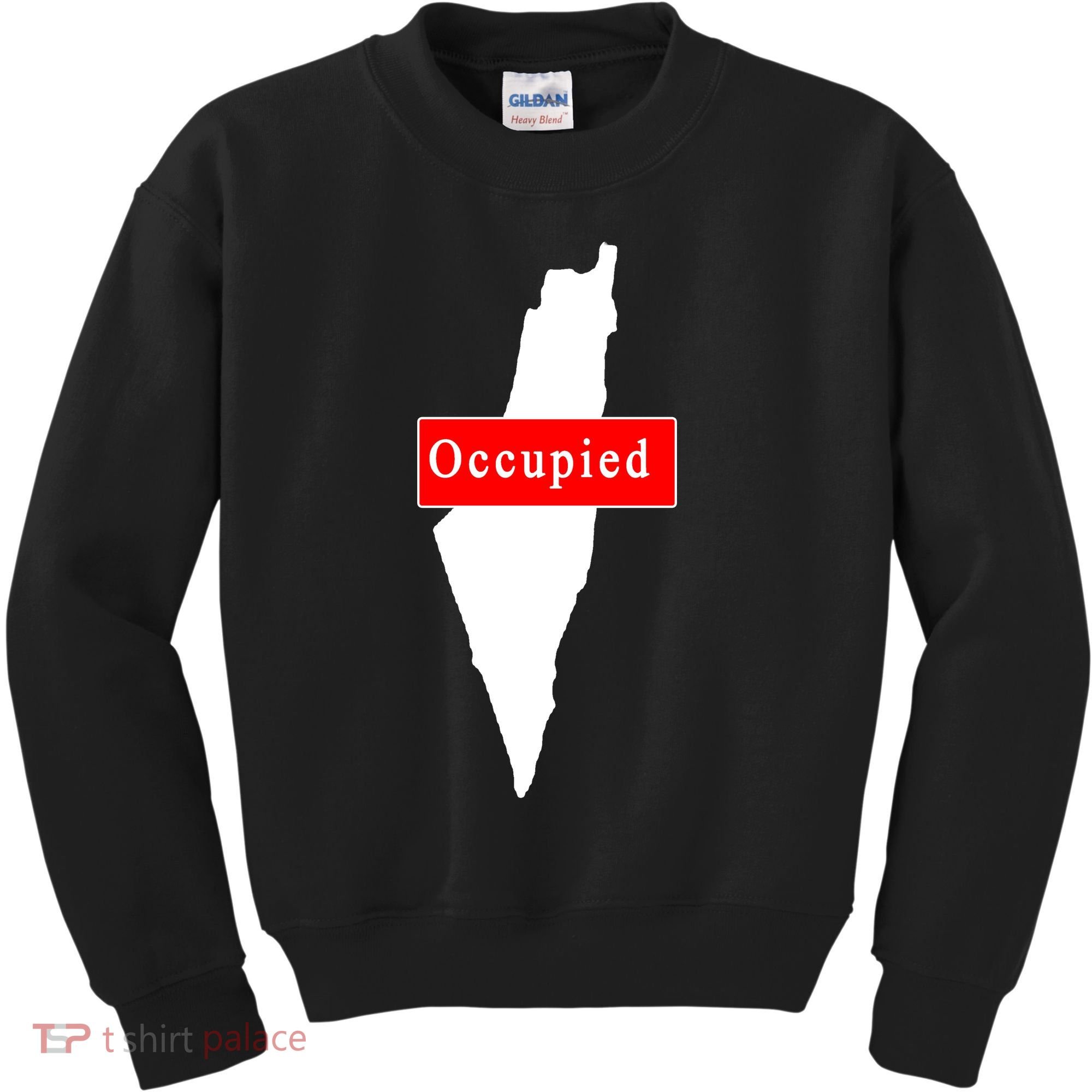 Occupied Palestine Free Gaza Anti Israel Kids Sweatshirt
