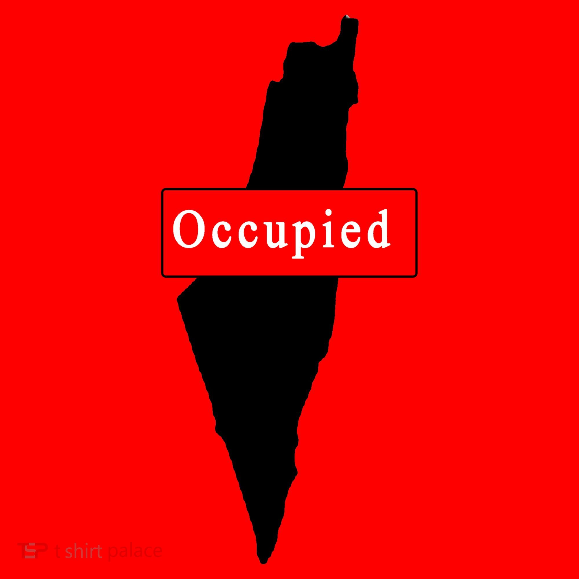 Occupied Palestine Free Gaza Anti Israel Santa Hat