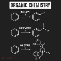 Organic Chemistry In Class Homework On Exam Beanie thumb 2