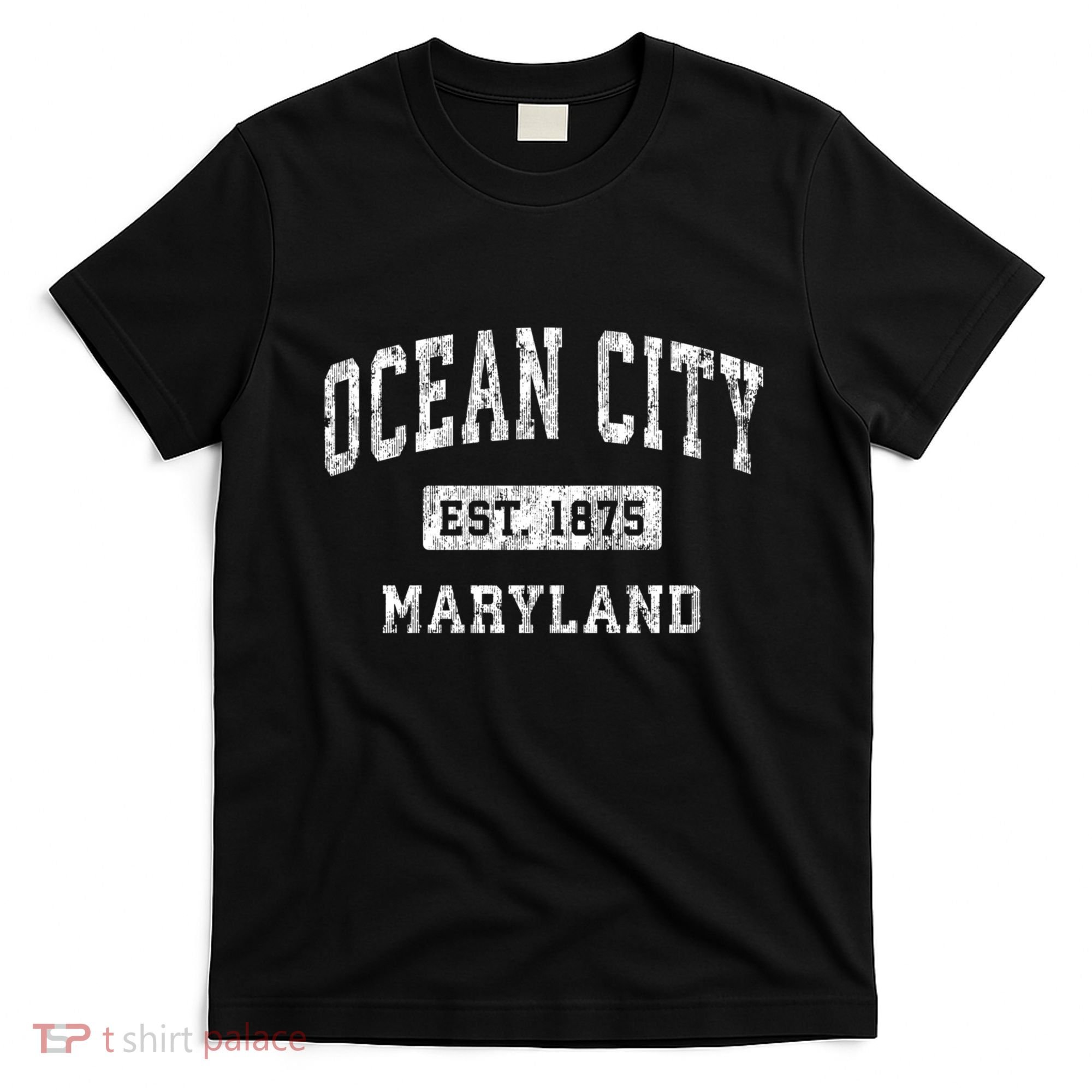 Ocean City Maryland Md Vintage Established Sports T-Shirt