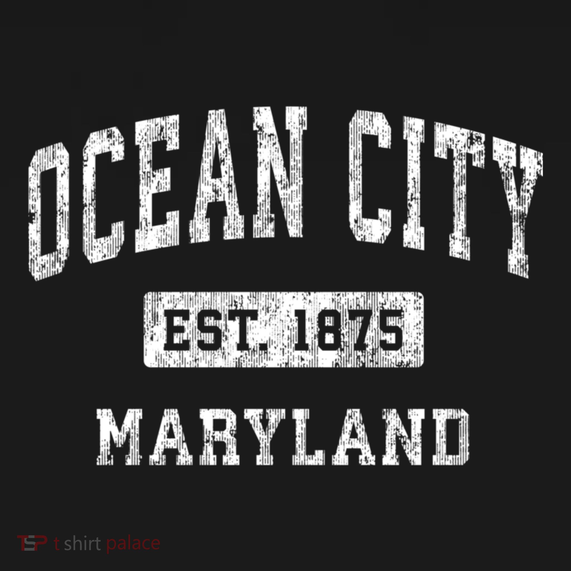 Ocean City Maryland Md Vintage Established Sports T-Shirt