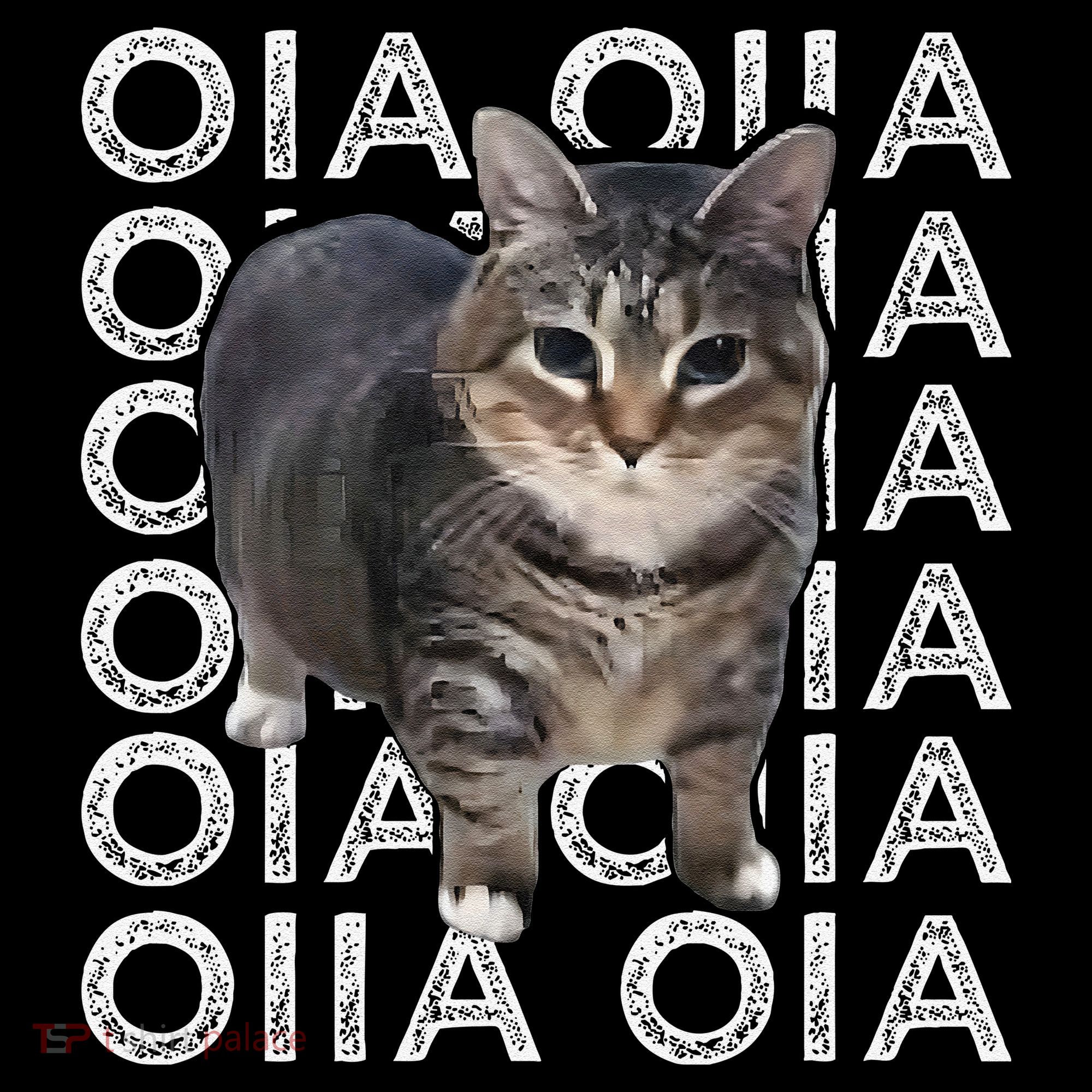 Oia Cat Meme I Wake Up Engage In Tomfoolery Oiia Cat Spinnin Coffee Mug