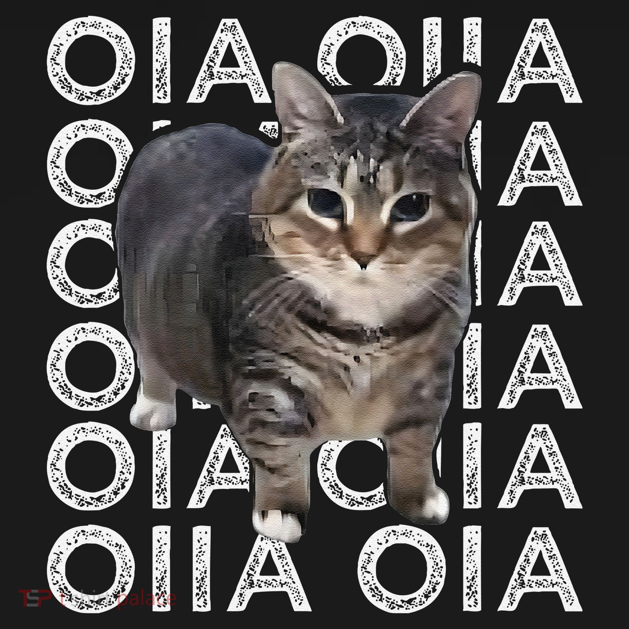 Oia Cat Meme I Wake Up Engage In Tomfoolery Oiia Cat Spinnin Coaster