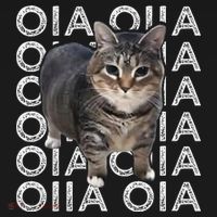 Oia Cat Meme I Wake Up Engage In Tomfoolery Oiia Cat Spinnin Women's Hoodie thumb 2