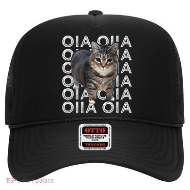 Oia Cat Meme I Wake Up Engage In Tomfoolery Oiia Cat Spinnin Hat