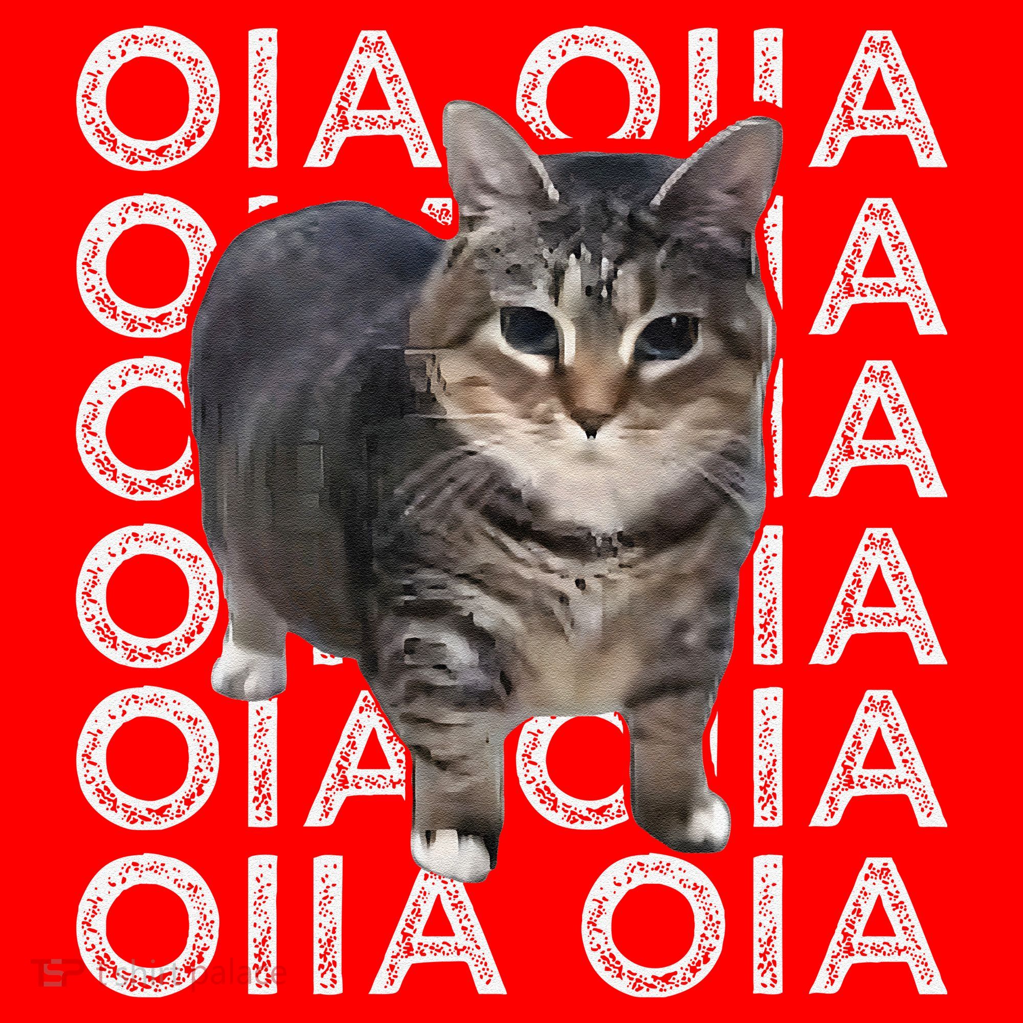 Oia Cat Meme I Wake Up Engage In Tomfoolery Oiia Cat Spinnin Santa Hat