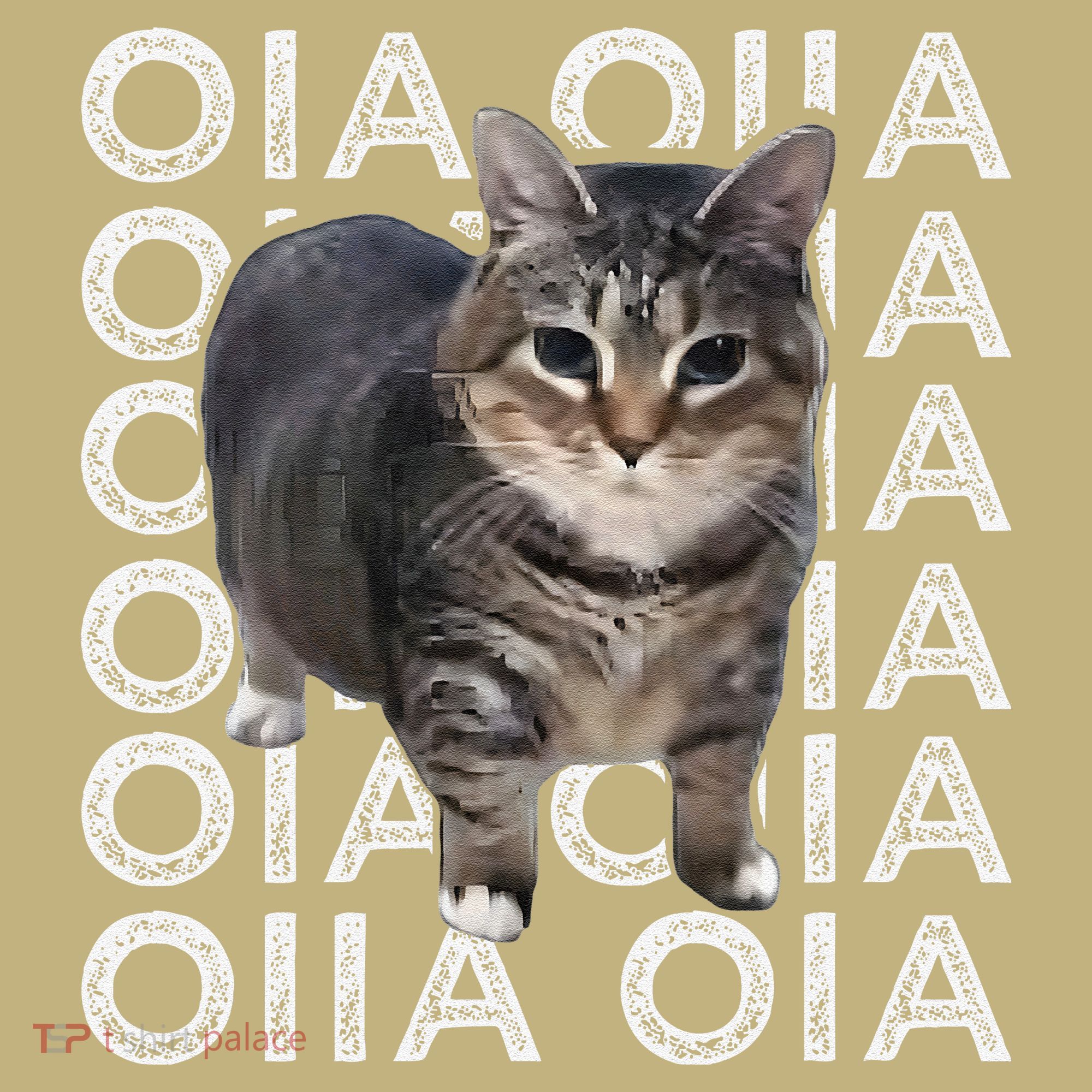 Oia Cat Meme I Wake Up Engage In Tomfoolery Oiia Cat Spinnin Sweatshirt