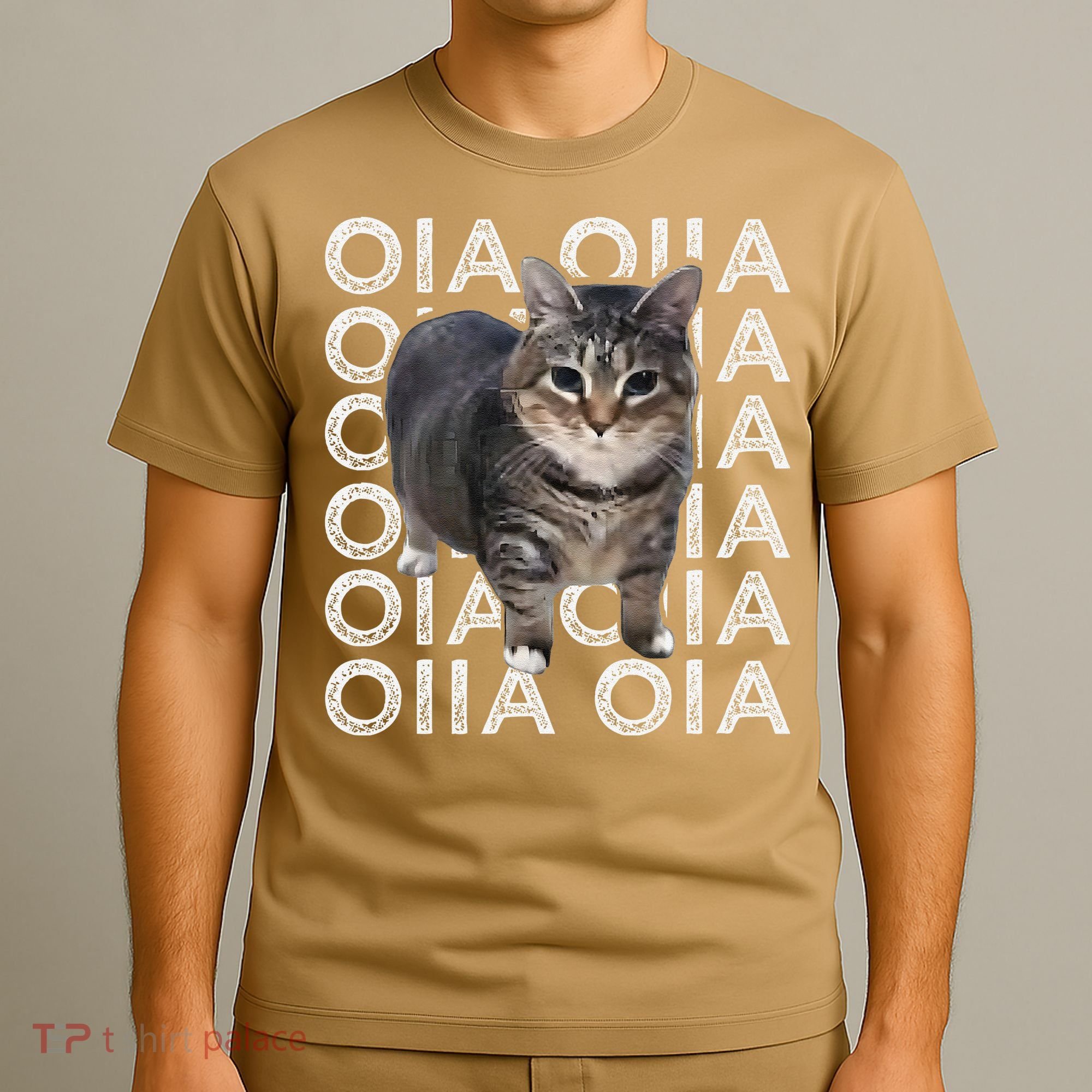 Oia Cat Meme I Wake Up Engage In Tomfoolery Oiia Cat Spinnin T-Shirt