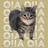 Oia Cat Meme I Wake Up Engage In Tomfoolery Oiia Cat Spinnin Mousepad thumb 1