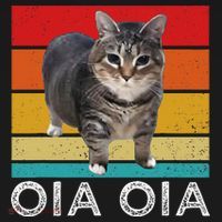 Oia Cat Meme I Wake Up Engage In Tomfoolery Oiia Cat Spinnin Women's Hoodie thumb 2