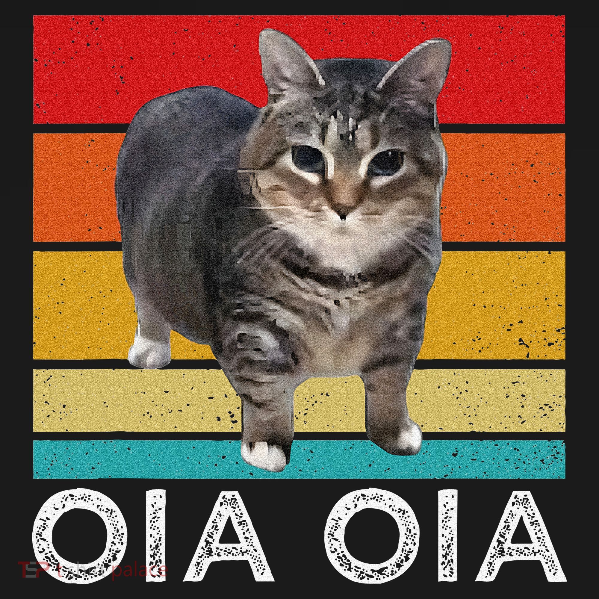 Oia Cat Meme I Wake Up Engage In Tomfoolery Oiia Cat Spinnin Women's Hoodie