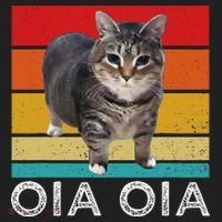 Oia Cat Meme I Wake Up Engage In Tomfoolery Oiia Cat Spinnin Hat thumb 2