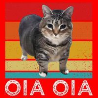 Oia Cat Meme I Wake Up Engage In Tomfoolery Oiia Cat Spinnin Santa Hat thumb 1