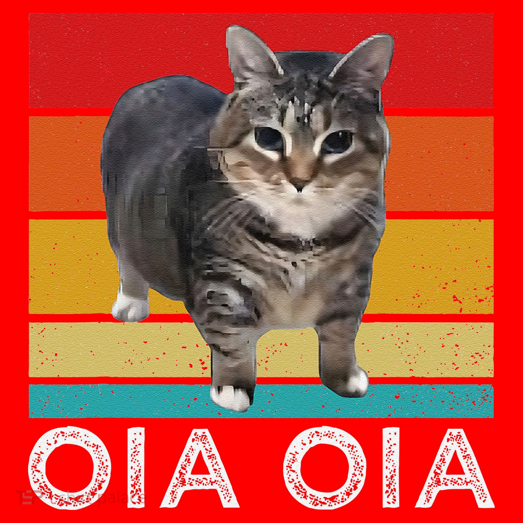 Oia Cat Meme I Wake Up Engage In Tomfoolery Oiia Cat Spinnin Santa Hat