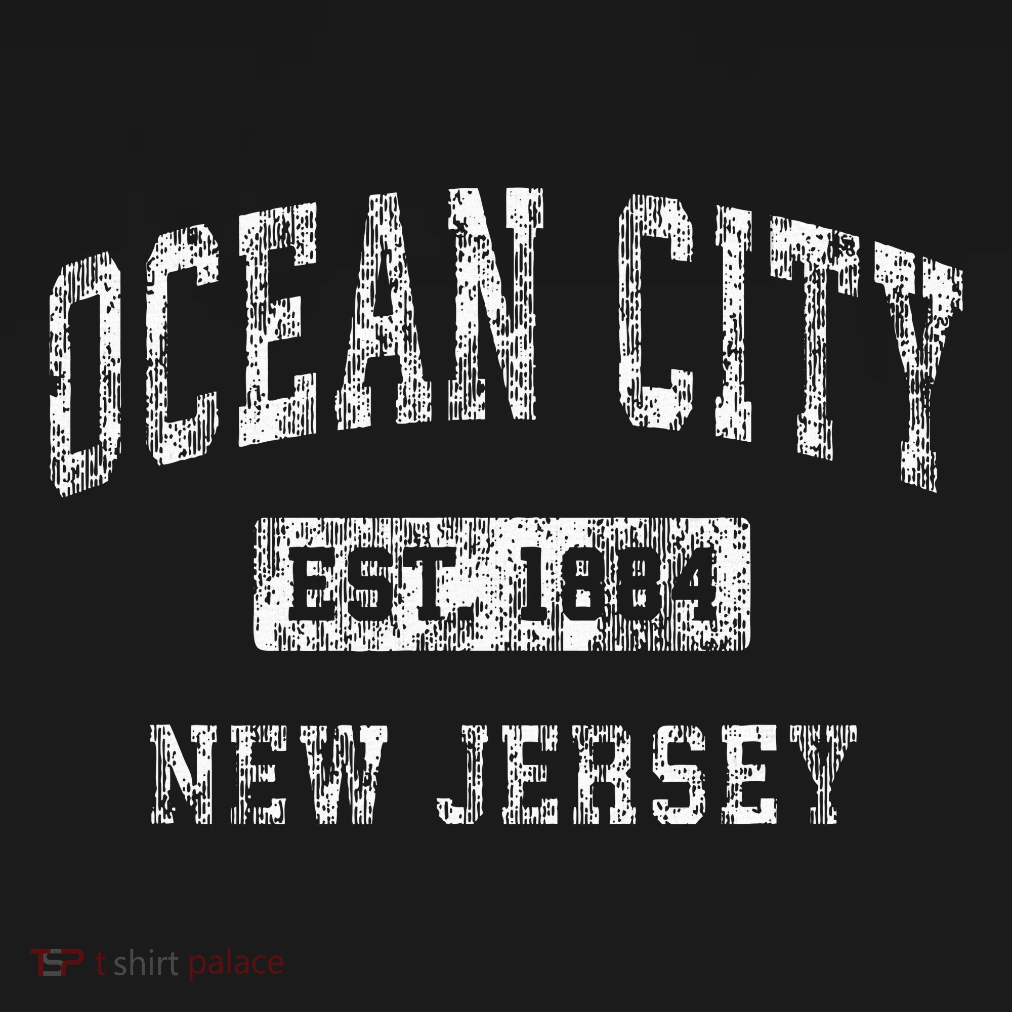 Ocean City New Jersey Nj Vintage Established Sports T-Shirt