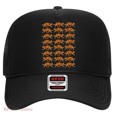 Orange Cat  Orange Tabby Cat lovers pattern Hat