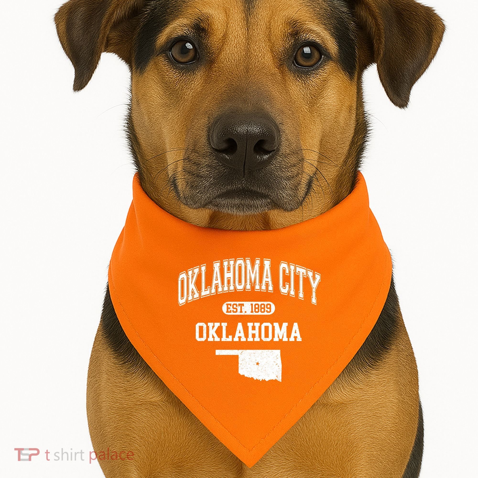 Oklahoma City Oklahoma Est 1889 Varsity USA-Made Doggie Bandana