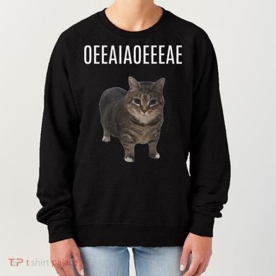 Oiiaoiia Cat Spinning Cat Meme Funny Trendy Cat Lovers Art Women's Sweatshirt