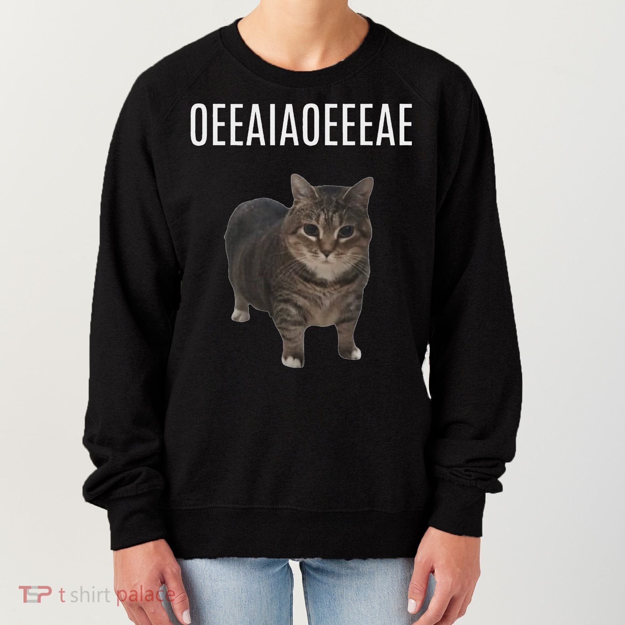 Oiiaoiia Cat Spinning Cat Meme Funny Trendy Cat Lovers Art Women's Sweatshirt