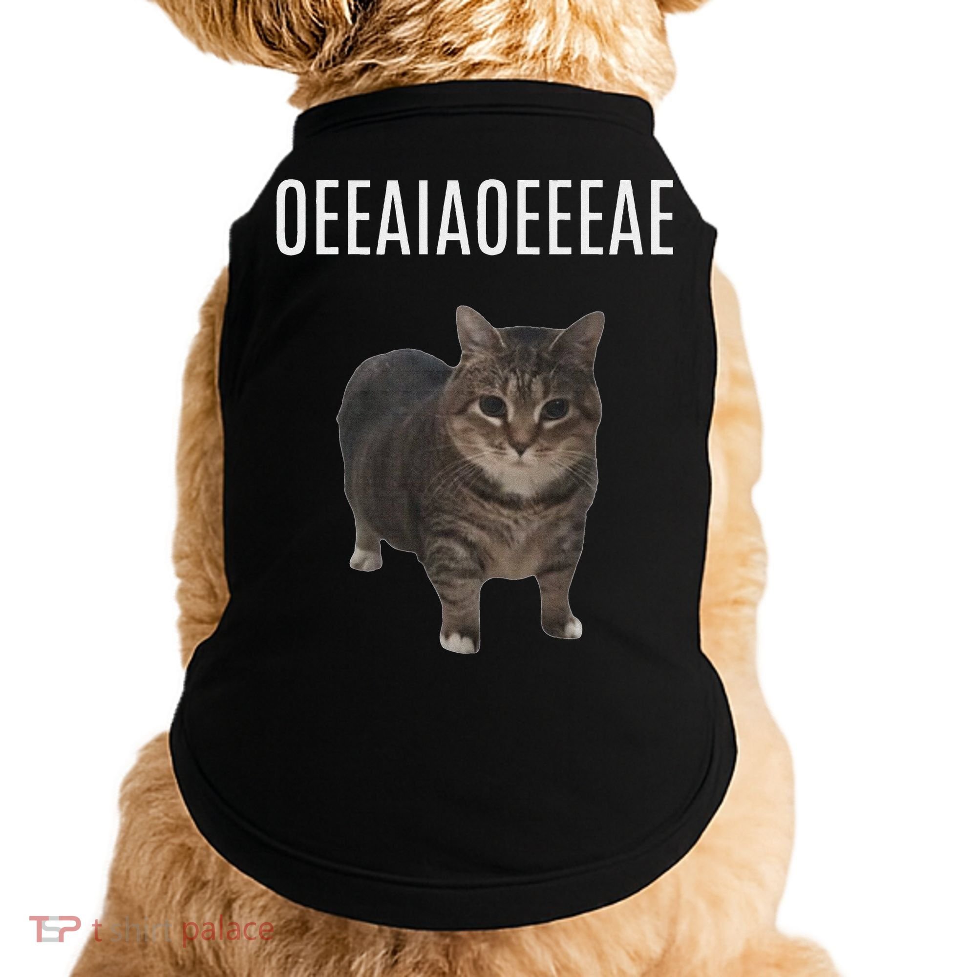 Oiiaoiia Cat Spinning Cat Meme Funny Trendy Cat Lovers Art Doggie Tank
